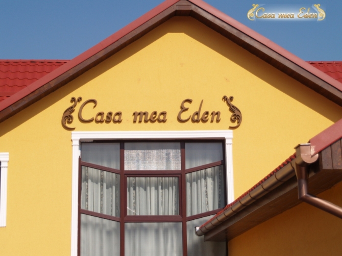 GENERATIA BATRANILOR SINGURI ACASA