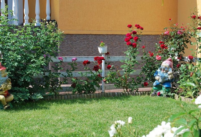 7 sfaturi de urmat pentru o &icirc;mbătr&acirc;nire sănătoasă