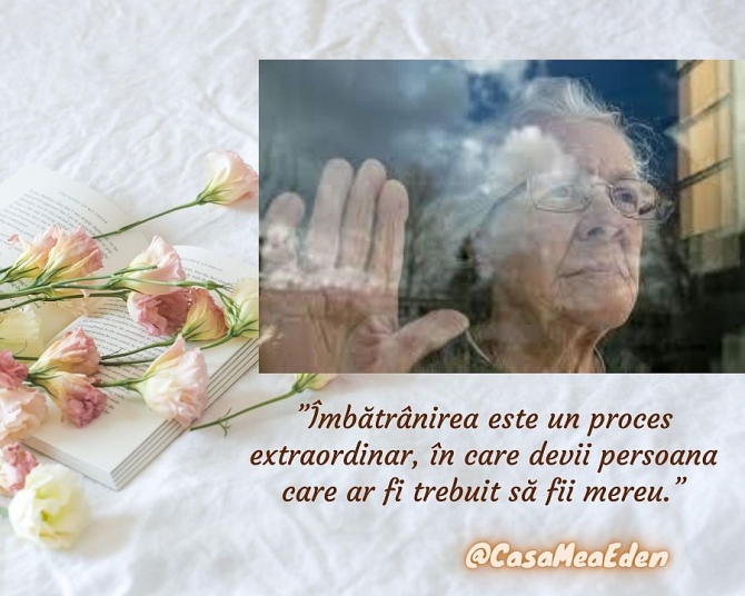 Influența pozitivă a religiei la nivel personal și social asupra procesului de adaptare din viața t&acirc;rzie