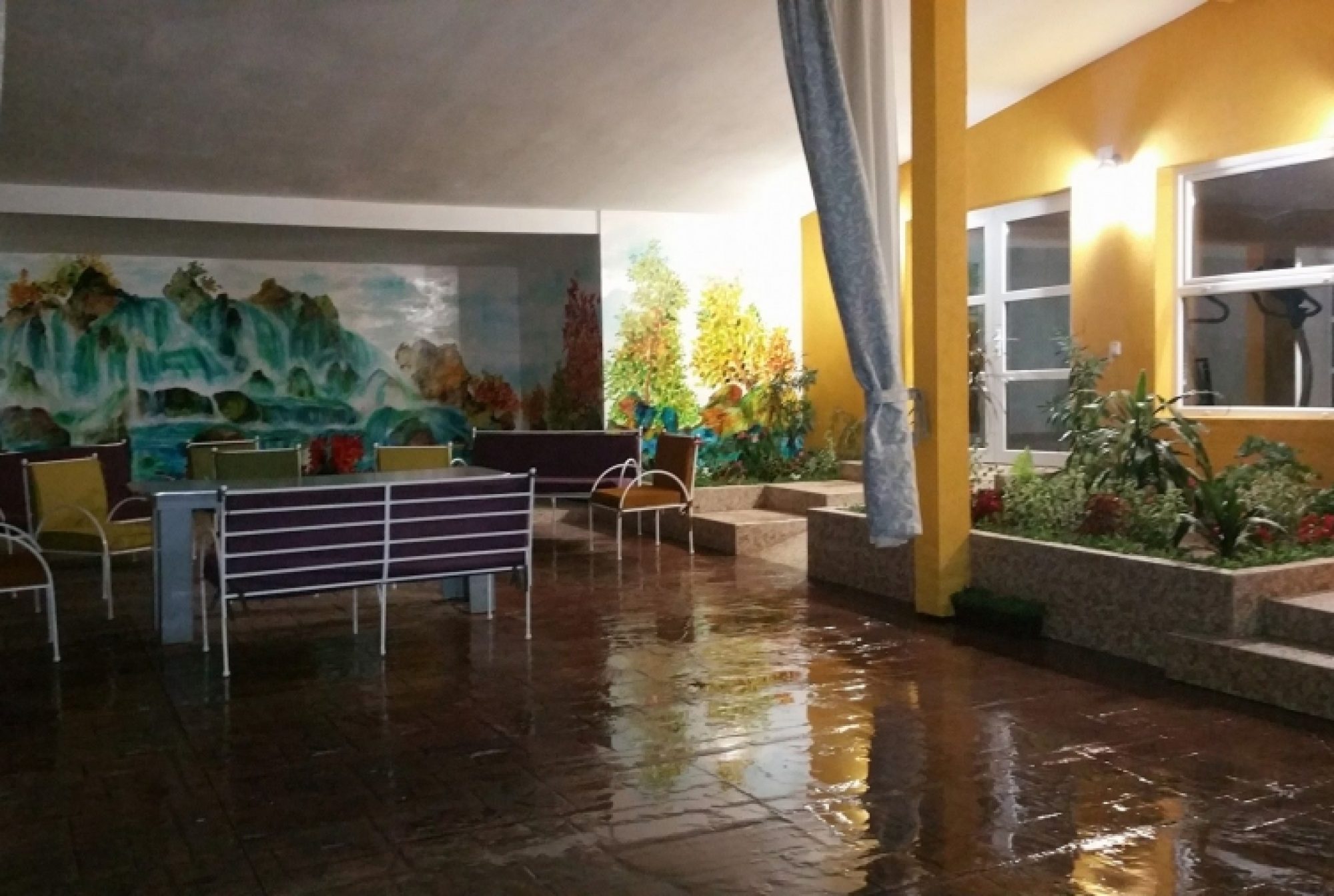 Din ”gradina” amintirilor pierdute: Siguranta ambientului pentru bolnavii cu Alzheimer