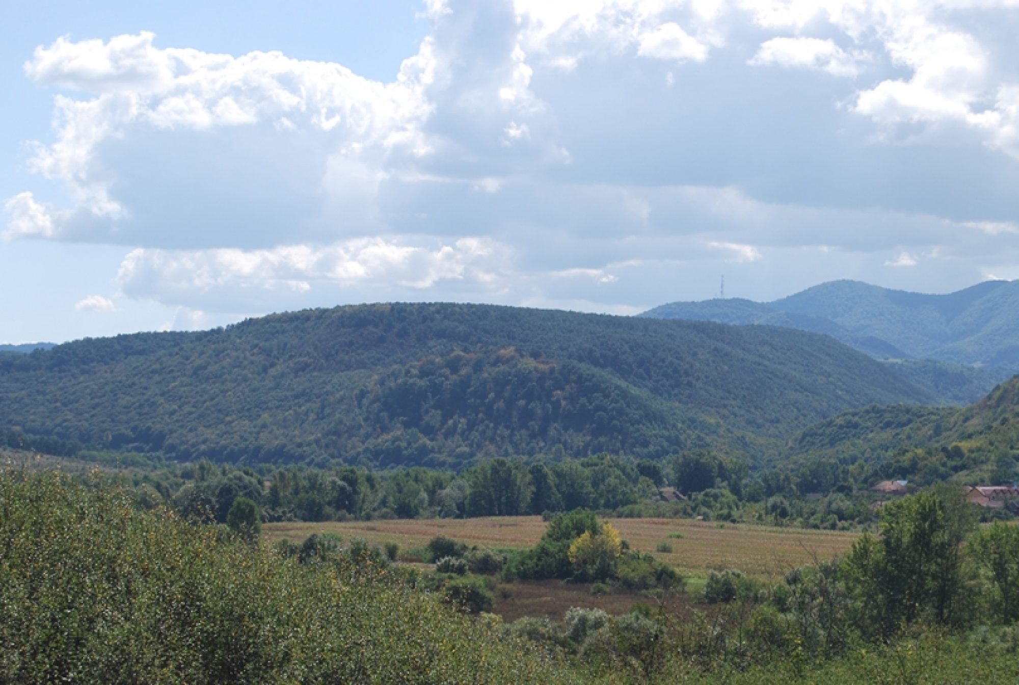 Tulburari psihice frecvente in caminele de batrani – Delirul
