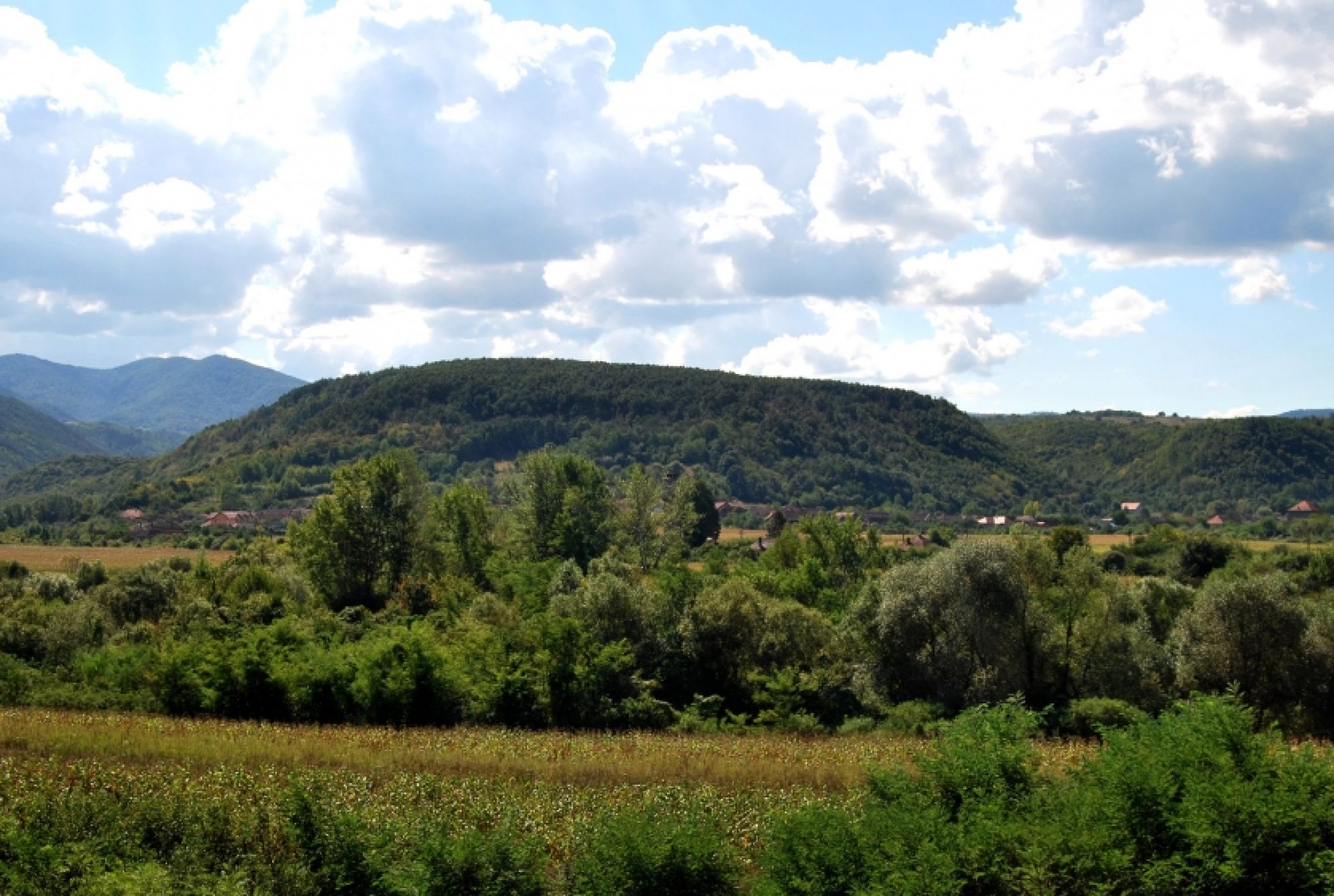 Povesti de viata dintr-un camin de batrani – Cum am invatat sa traiesc cu Alzheimer…
