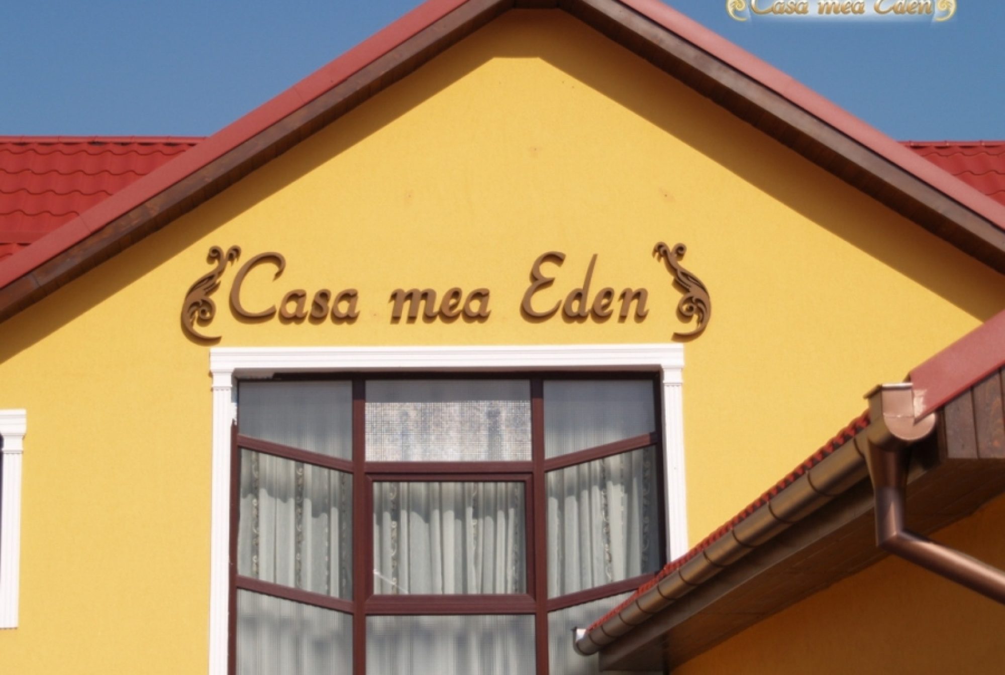 GENERATIA BATRANILOR SINGURI ACASA