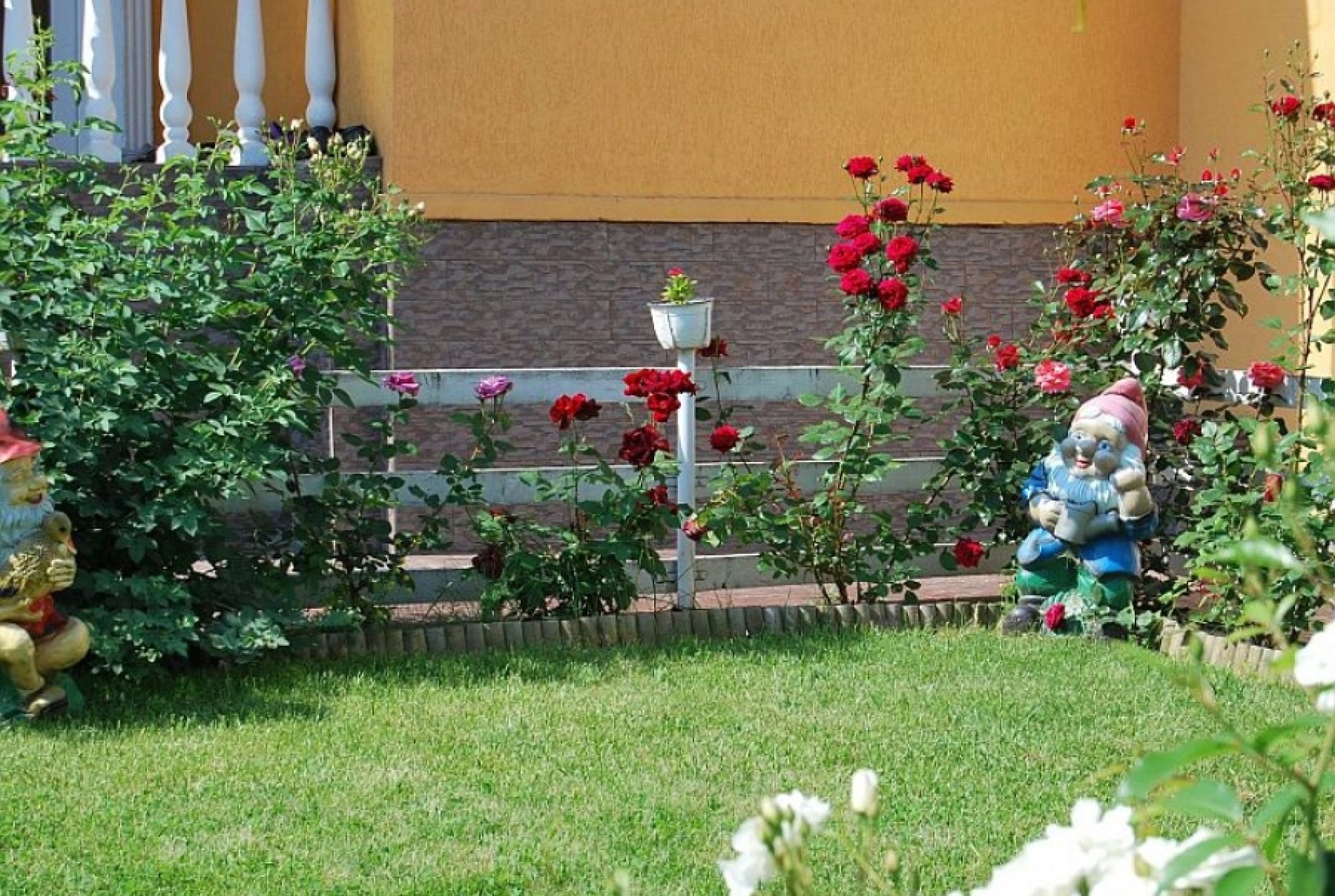 7 sfaturi de urmat pentru o îmbătrânire sănătoasă