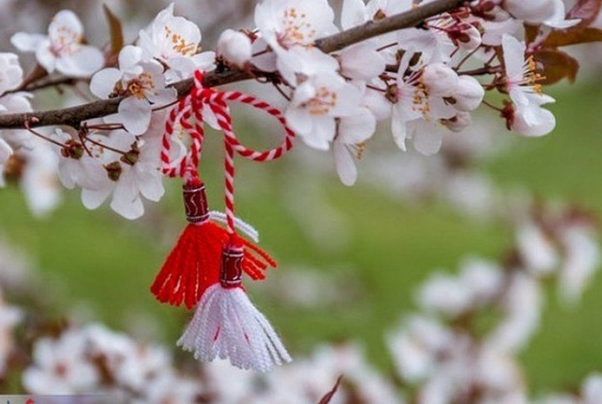 Doar te gândești că vine primăvara și ești mai fericit