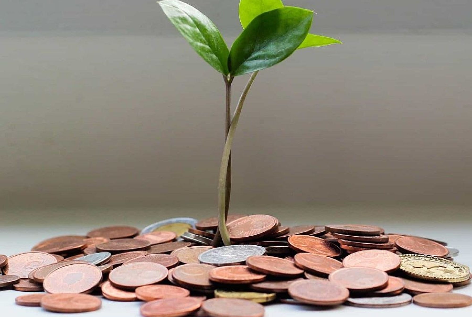 Suplimentele alimentare la prea mare căutare acum