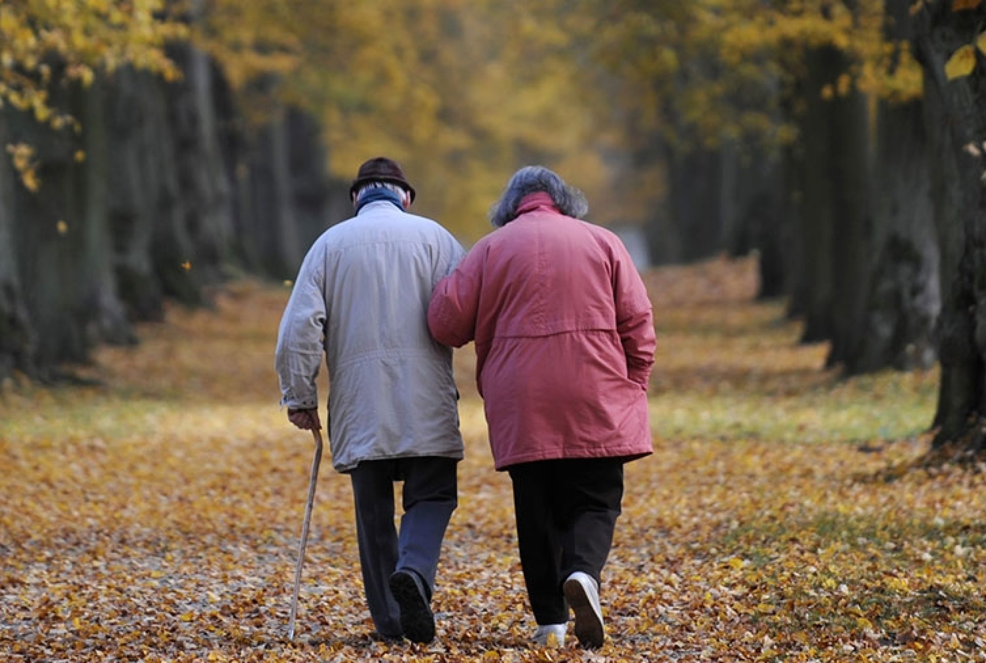 Varsta a treia vine la pachet cu o serie de modificari fiziologice – Prin ce schimbari trec metabolismul, digestia si aparatul locomotor?